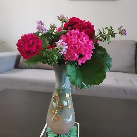 Stella Luxury * Kalathos