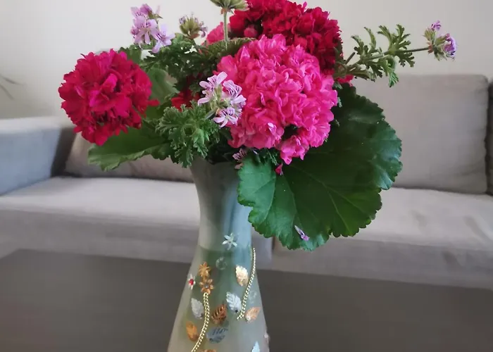 Stella Luxury * كالاثوس